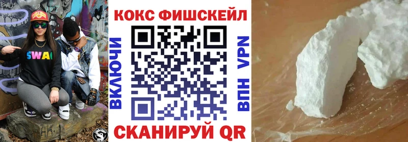 Кокаин Fish Scale  где можно купить наркотик  Камышлов 