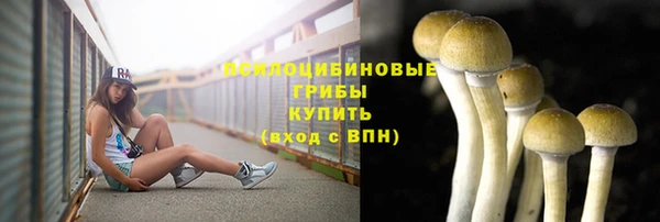 2c-b Алзамай