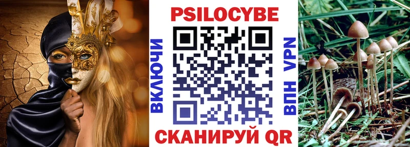 где найти   Камышлов  Галлюциногенные грибы GOLDEN TEACHER 